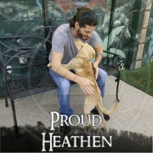 Meet your Posher, Ryan